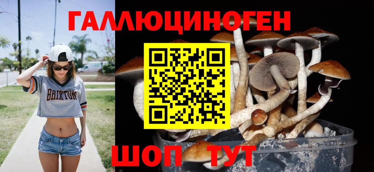 Псилоцибиновые грибы мицелий  Вход с VPN  Кропоткин 